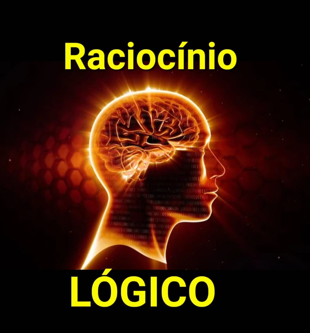 RACIOCÍNIO LÓGICO